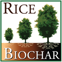 Rice biochar